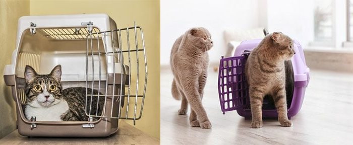 Post-12-half-images-3 cat carriers for car travel