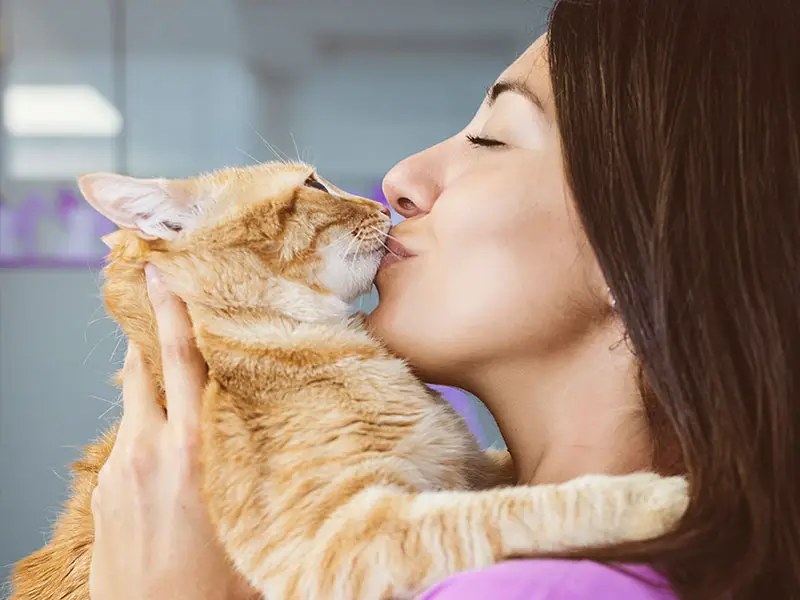 Can You Kiss Your Cat on the Nose? WalkWithCat