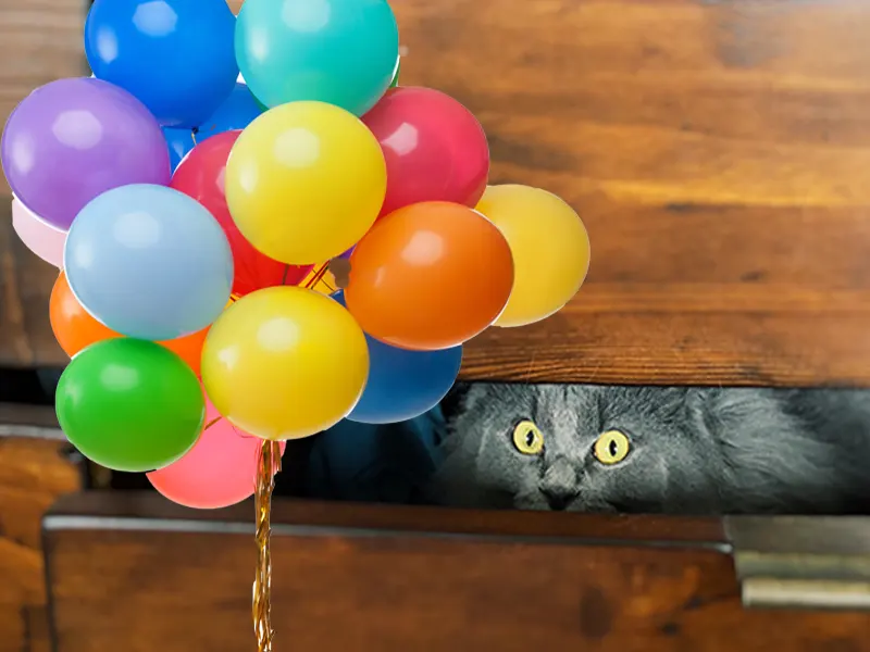 Why Are Cats Scared of Balloons?