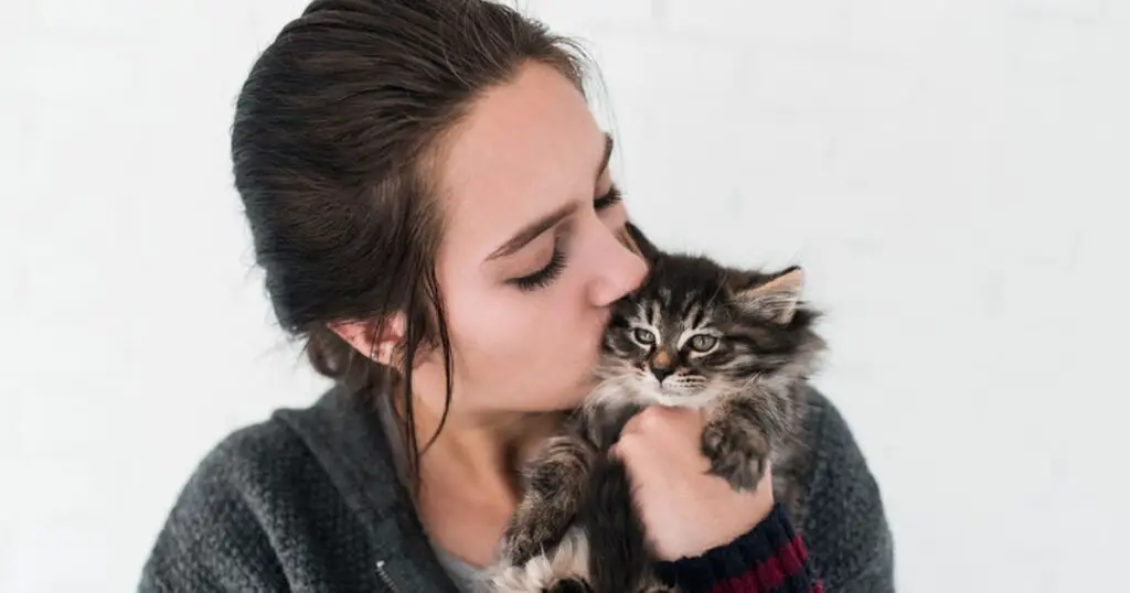 Kissing Your Cat On The Head 